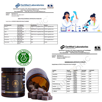 NutroTonic Himalayan Shilajit Gummies – Raspberry Vanilla, Manuka Honey MGO +263