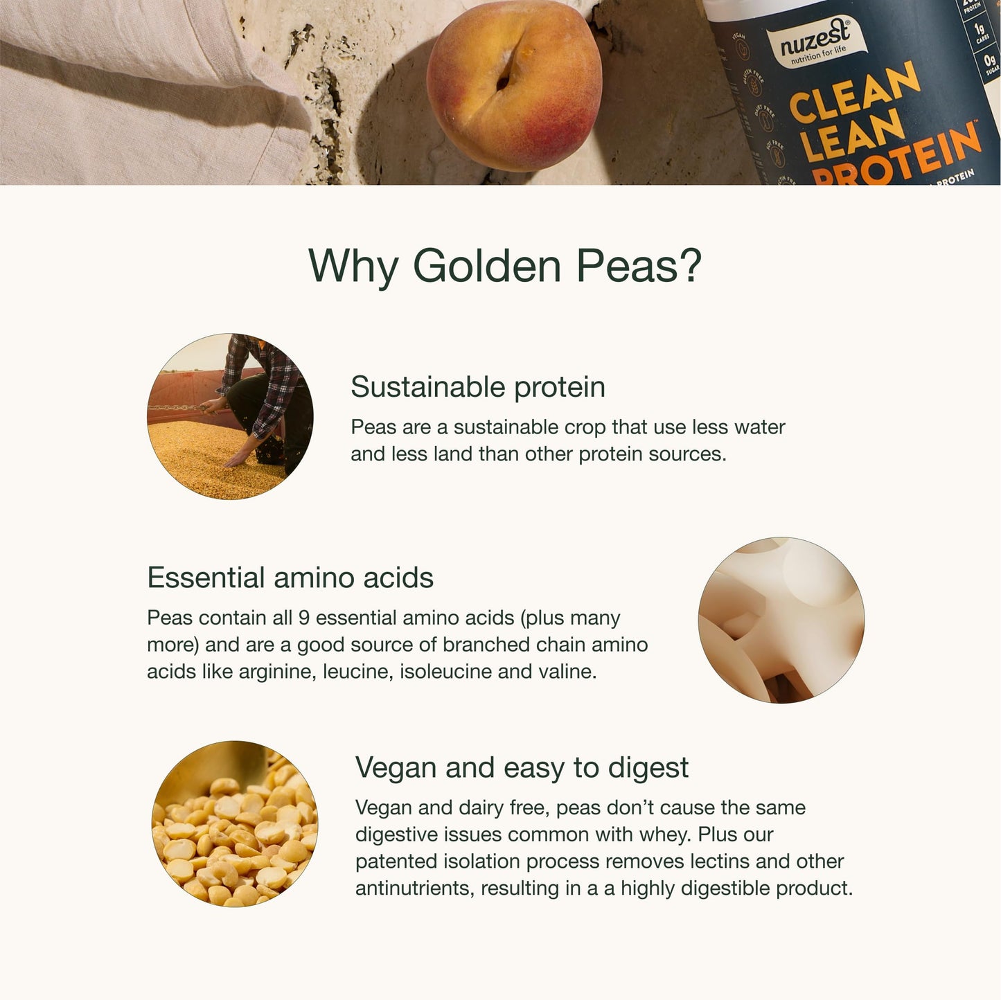 Nuzest Pea Protein Powder – Clean Lean Plant-Based Protein, Dairy Free