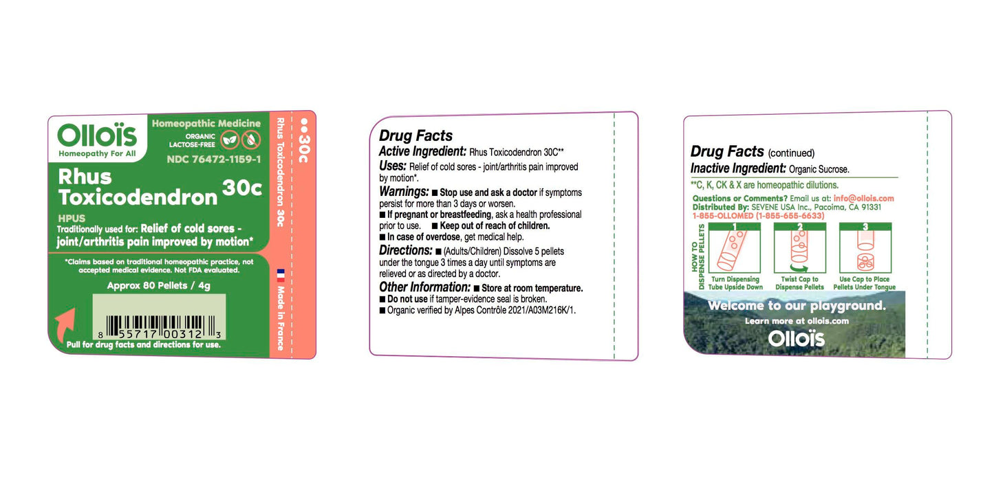 OLLOIS Rhus Toxicodendron 30c – Organic, Lactose-Free Homeopathic Pellets | 80 Pellets (Pack of 1)