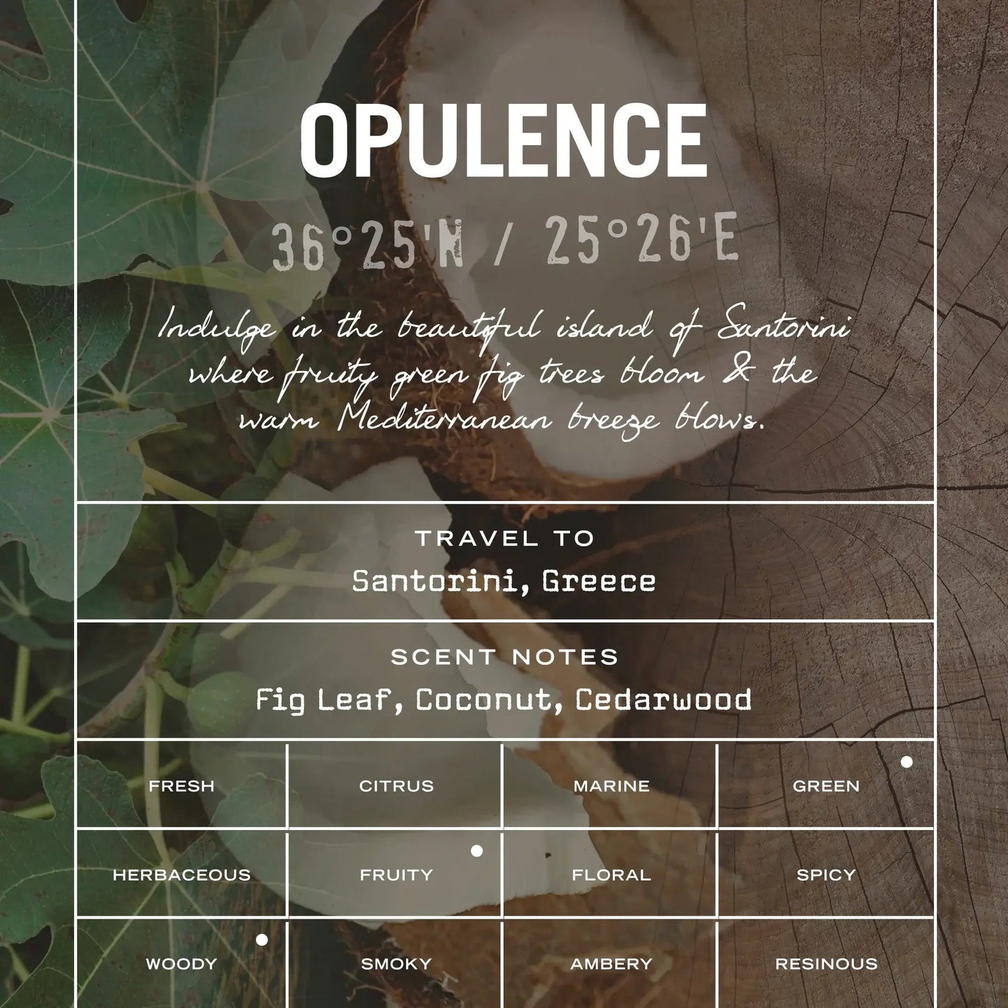 Opulence Reed Diffuser - HealVia LimitedHealVia LimitedOpulence Reed Diffuser
