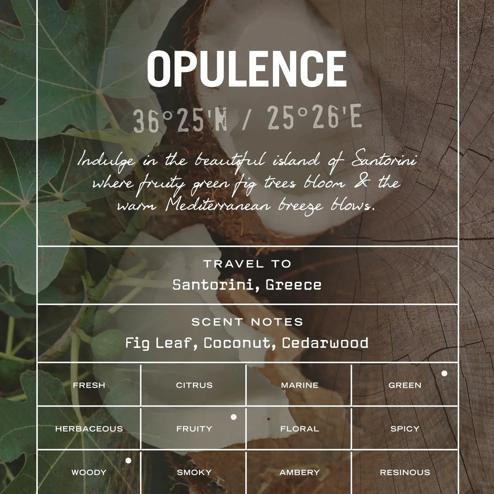 Opulence Reed Diffuser - HealVia LimitedHealVia LimitedOpulence Reed Diffuser