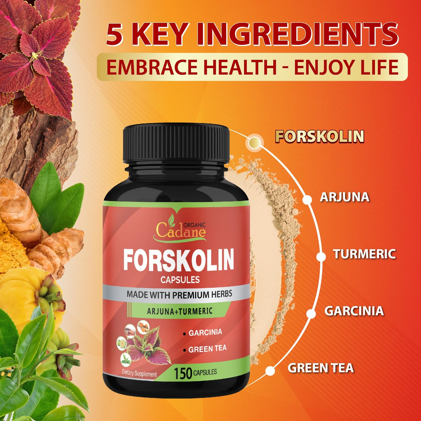Cadane Forskolin 5-in-1 Capsules – Turmeric, Arjuna, Garcinia, Green Tea | 150 Caps