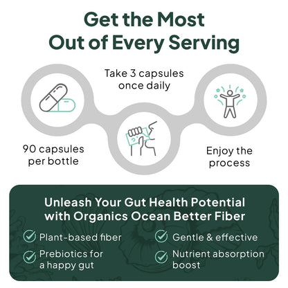 Organics Ocean Better Fiber - Daily Fiber Supplement for Gentle, Regular Bowel Movements (3 Bottles)
