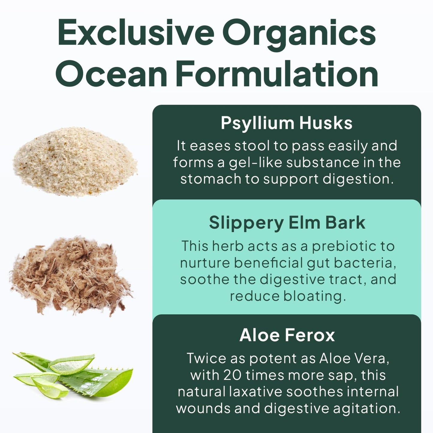 Organics Ocean Better Fiber - Daily Fiber Supplement for Gentle, Regular Bowel Movements (3 Bottles)