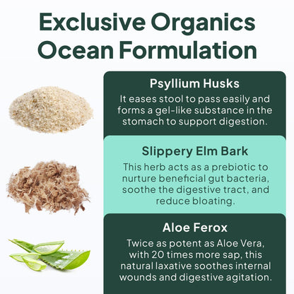 Organics Ocean Better Fiber - Daily Fiber Supplement for Gentle, Regular Bowel Movements (3 Bottles)