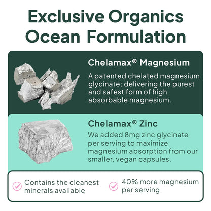 Organics Ocean Pure Magnesium Glycinate with Zinc – Maximum Strength Chelated Magnesium for Sleep & Muscle Support (6 Bottles)