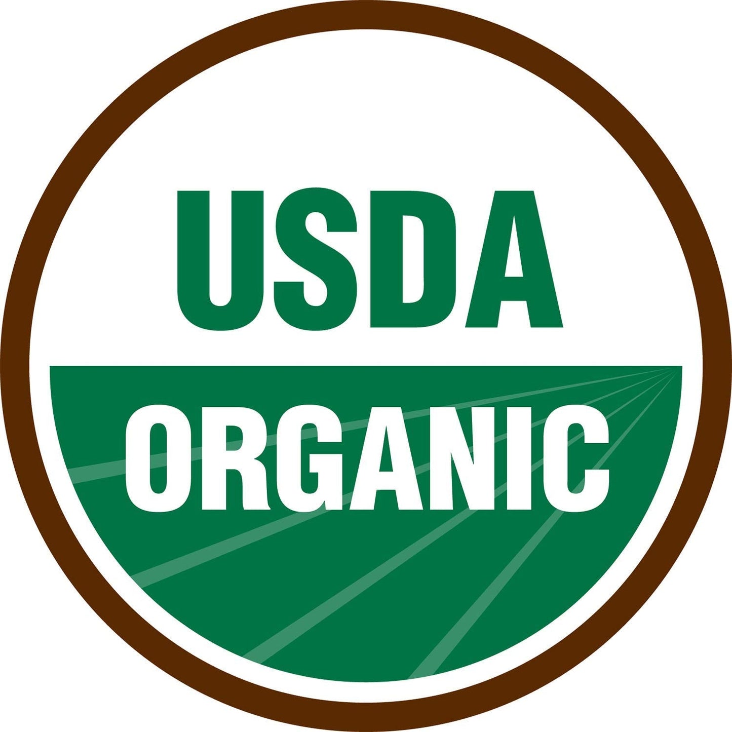 Terrasoul Organic Gelatinized Maca Powder 16oz – Hormone Balance & Energy