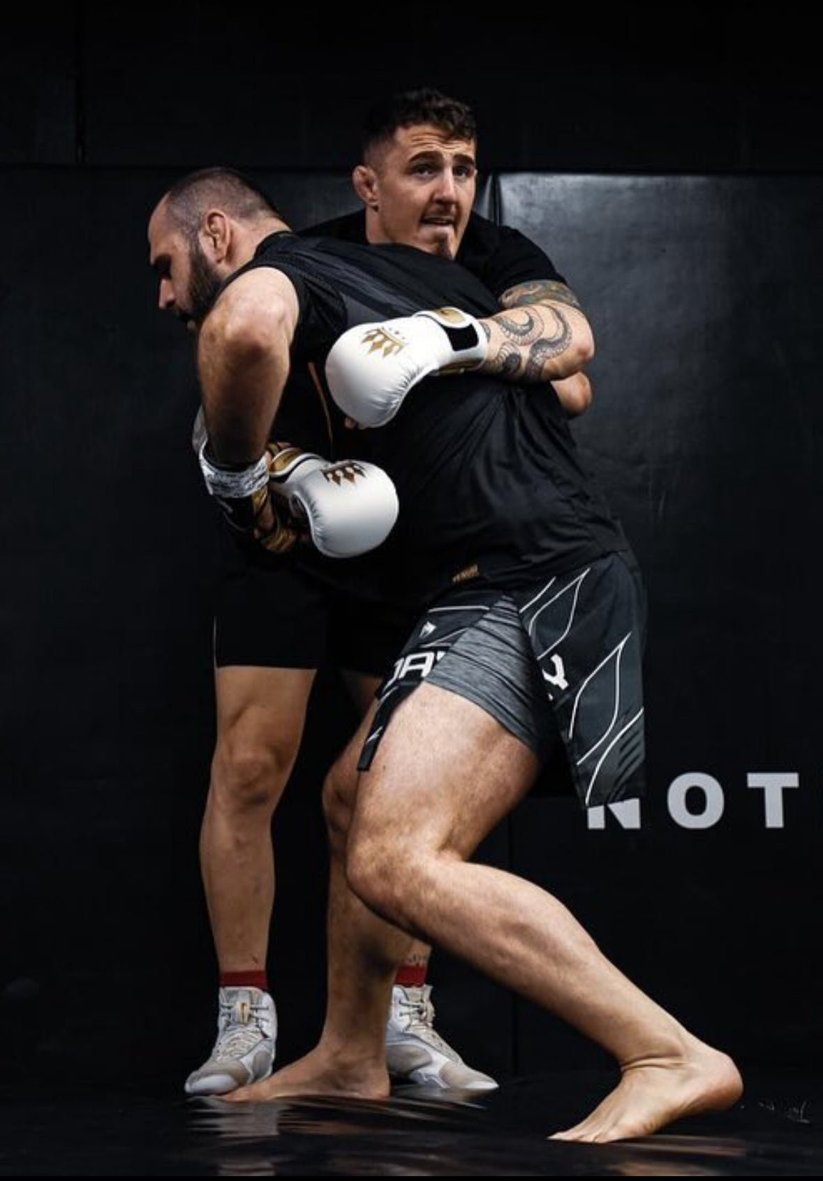 Playerz Power MMA Sparring Gloves - White/Gold