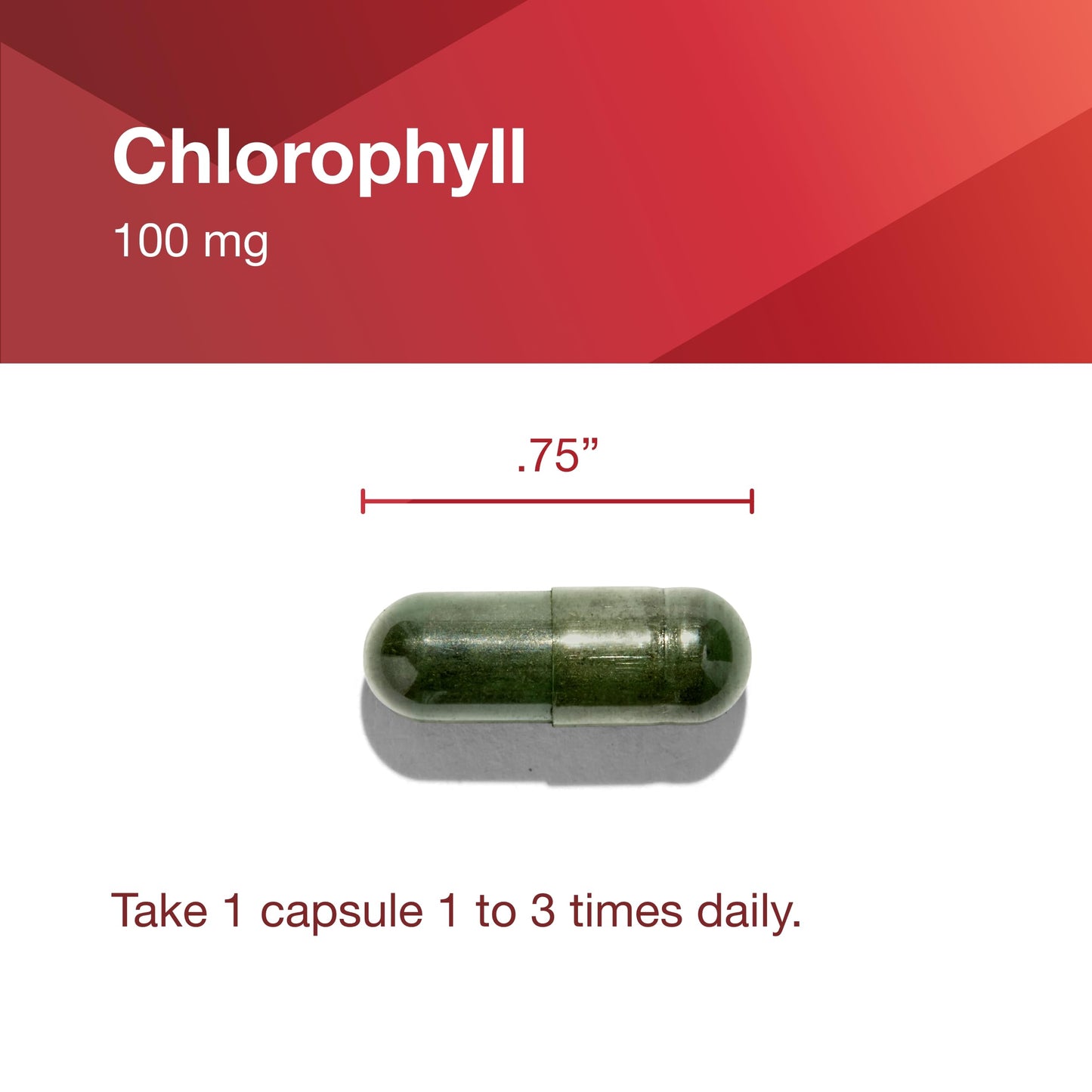 Protocol Chlorophyll – Detox, Liver Support & Internal Deodorant | 90 Veg Capsules (Non-GMO, Soy Free)