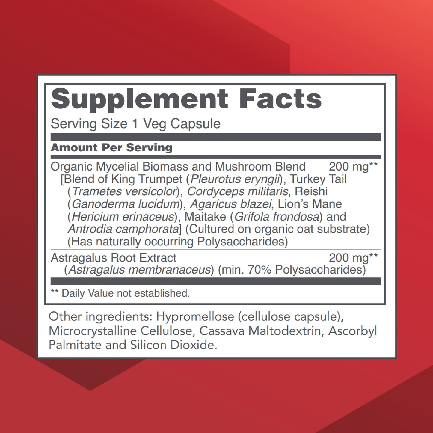 Protocol Mycel Immune Plus – Mushroom Blend with Astragalus