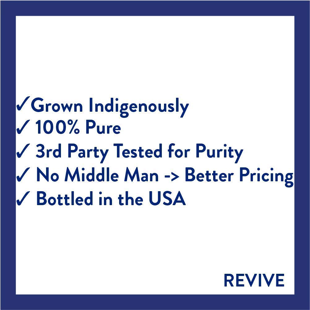 Pumpkin Pie Essential Oil Blend by REVIVEEO | 100% Pure Therapeutic Grade