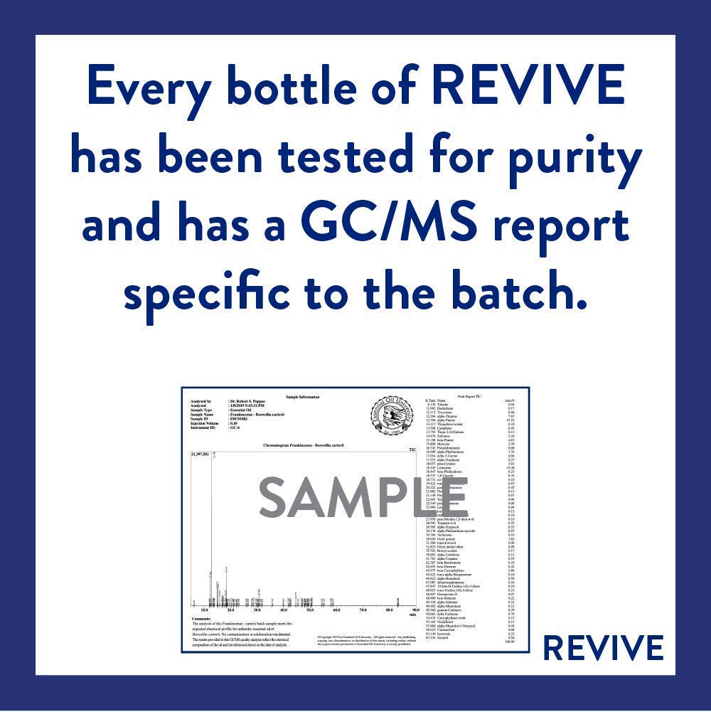 Pumpkin Pie Essential Oil Blend by REVIVEEO | 100% Pure Therapeutic Grade