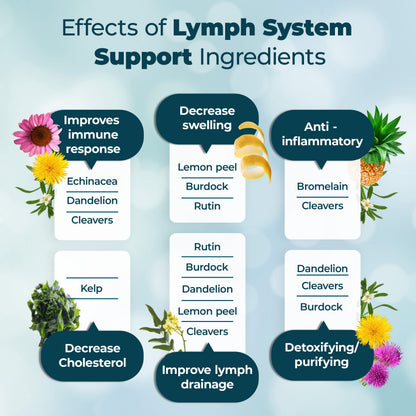 PUREHEALTH RESEARCH Lymph System Support — Lymphatic Drainage Supplement (360 Capsules)