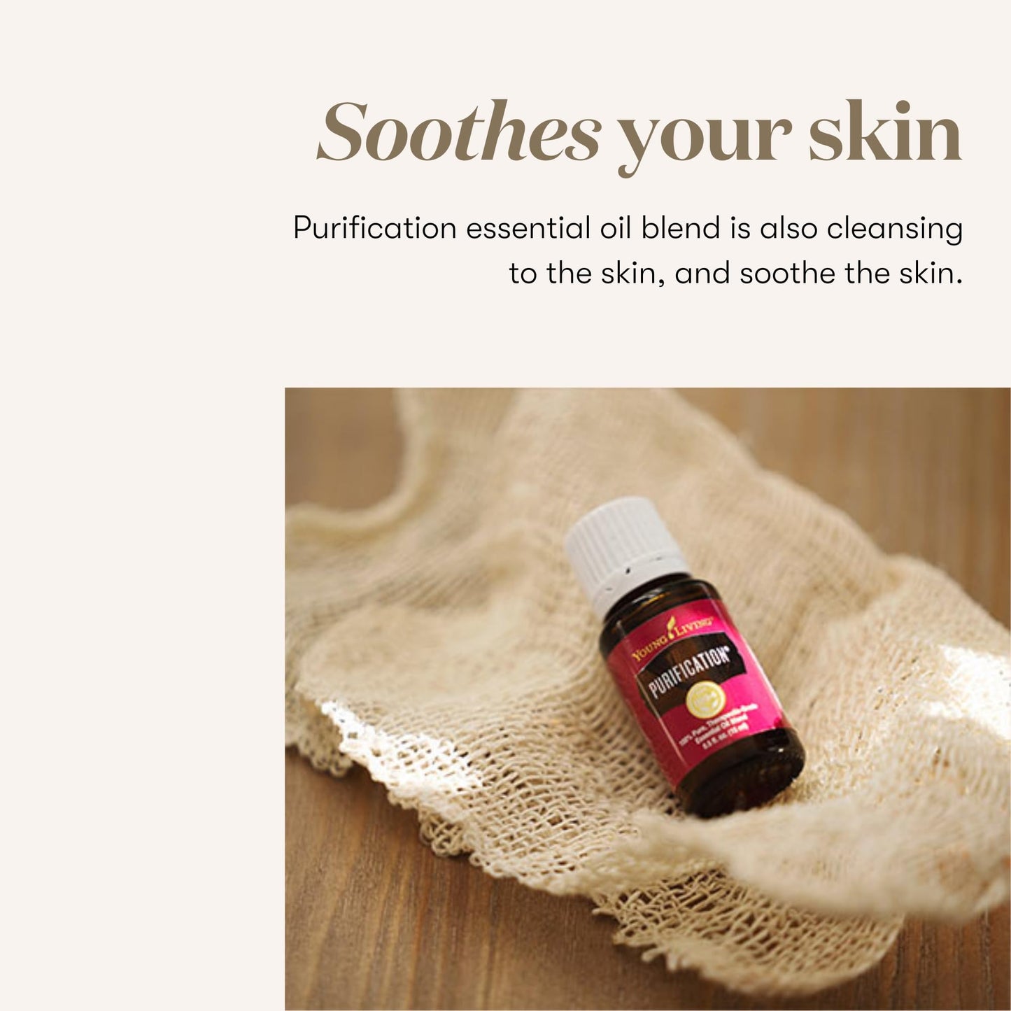 Purification Essential Oil 15ml by Young Living – Fresh Citrus & Herbal Blend