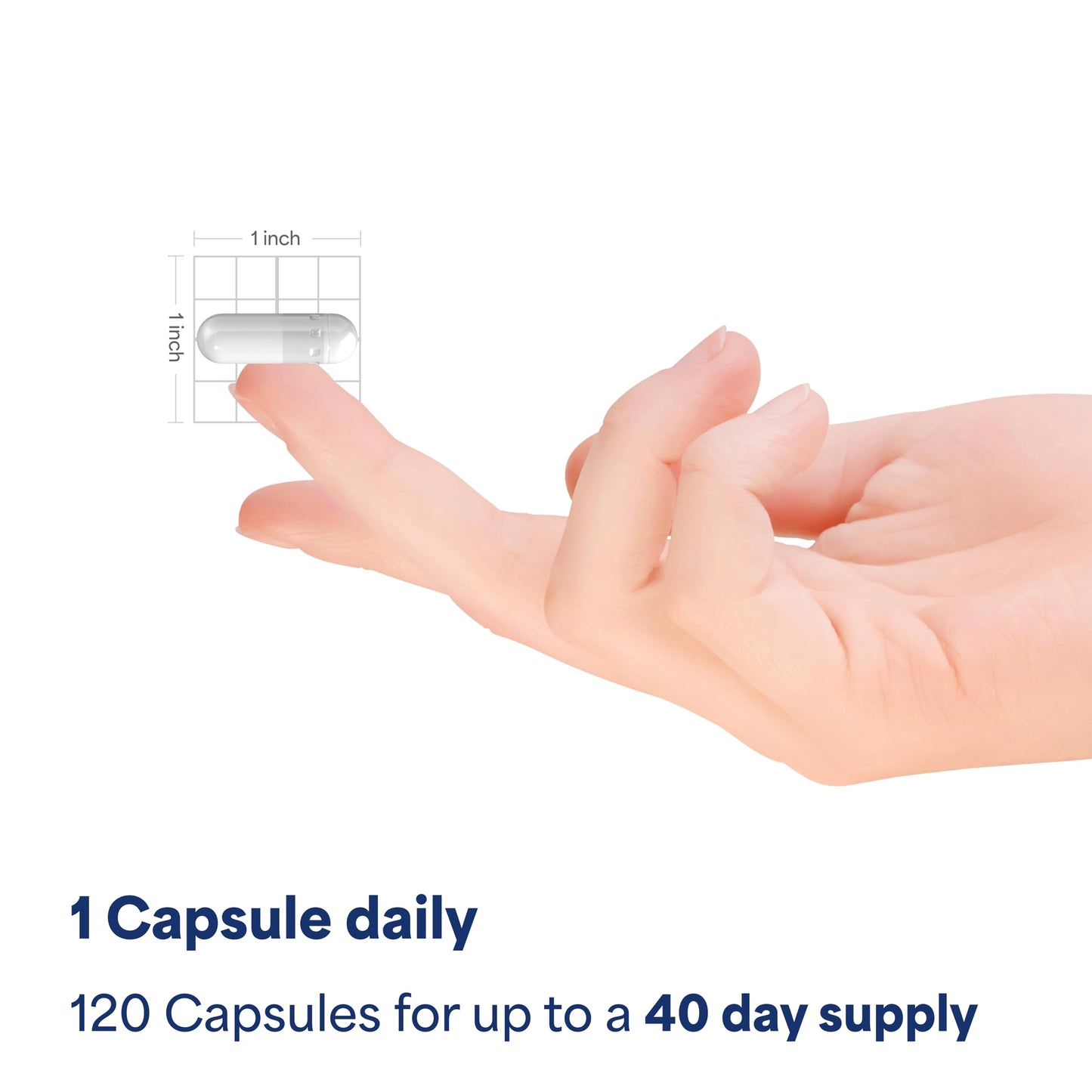 Puritan's Pride Turmeric Curcumin 1000mg – 120 Rapid Release Capsules
