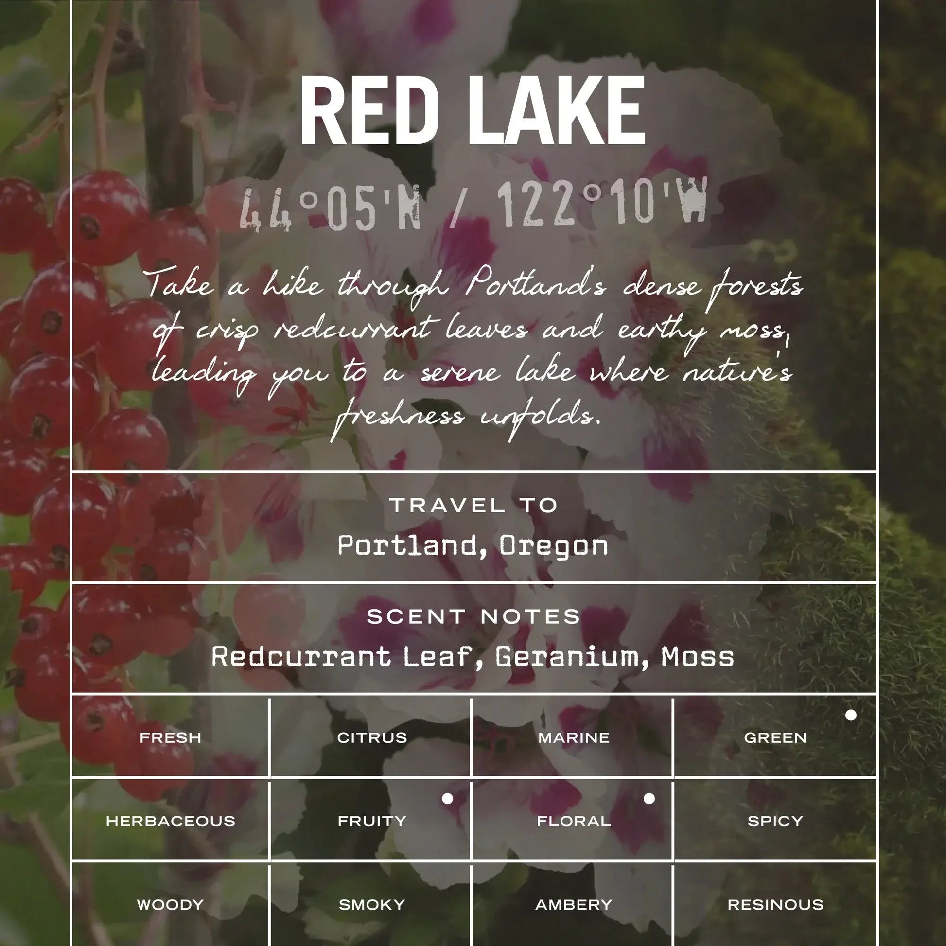 Red Lake Scented Candle - HealVia LimitedHealVia LimitedRed Lake Scented Candle