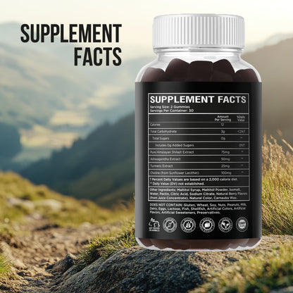 RockSten Premium Himalayan Shilajit Gummies - 1500mg with Ashwagandha & Turmeric | Vegan, Gluten-Free