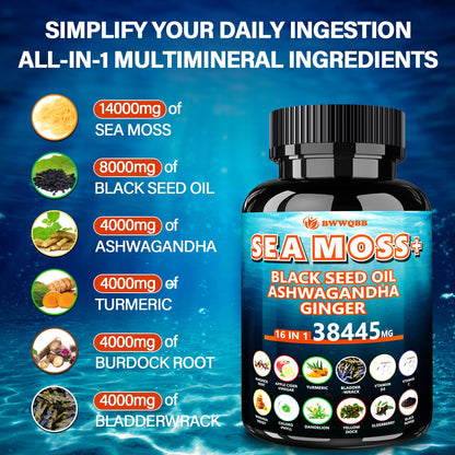 Sea Moss Capsules 60 Count – All-in-1 with Black Seed Oil, Ashwagandha, Turmeric, Bladderwrack & Burdock