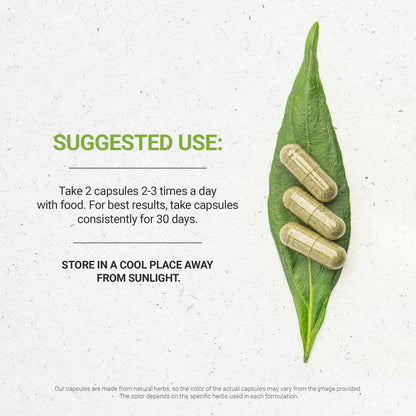 Secrets of Tribe Plantain Capsules | USDA Organic Plantago lanceolata