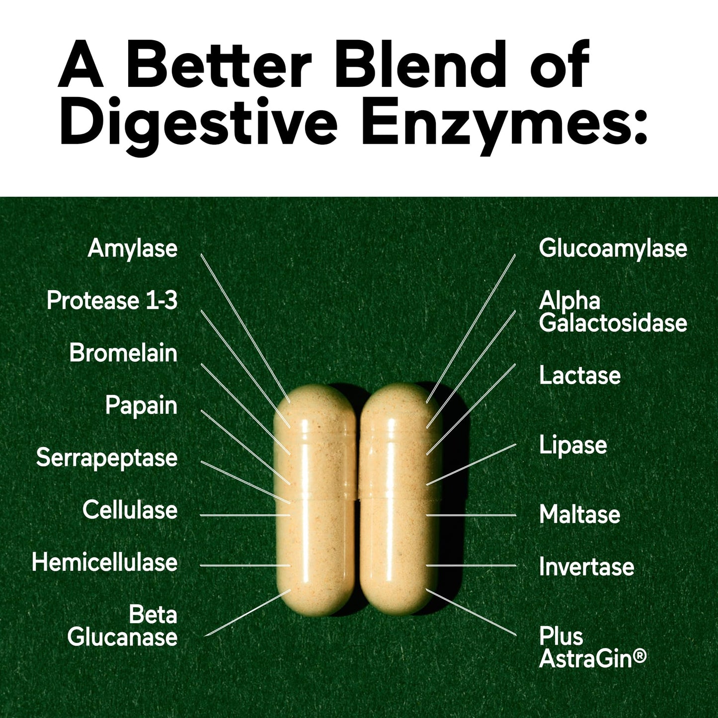 SMARTERNUTRITION Vegan Digestive Enzymes – 16 Enzymes for Digestive Comfort (540 Count)