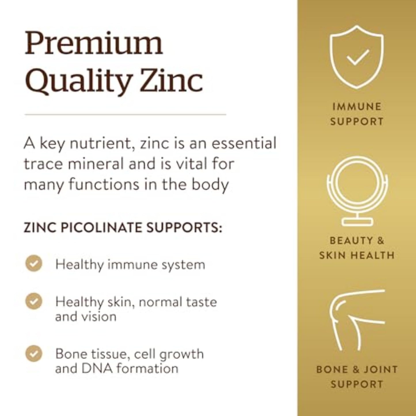 Solgar Zinc Picolinate 22 mg - 100 Tablets | Immune Support & Healthy Skin | Vegan