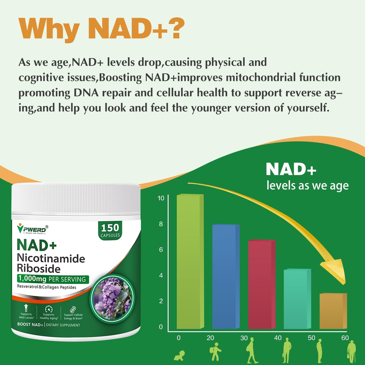 150 Caps NAD+ Trans-Resveratrol 1000mg – Pure Organic Liposomal NAD+ with Nicotinamide Riboside & Resveratrol for Women | Pwerd