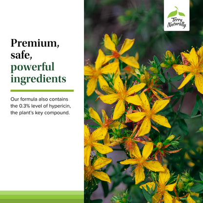 Terry Naturally St John's Wort 900-60 Tablets – Full Clinical Dose (Non-GMO, Vegan, Gluten Free)
