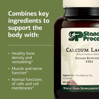 Standard Process Calcium Lactate – Bone & Immune Health Support | Vegan, Gluten-Free, Non-Dairy | 360 Tablets