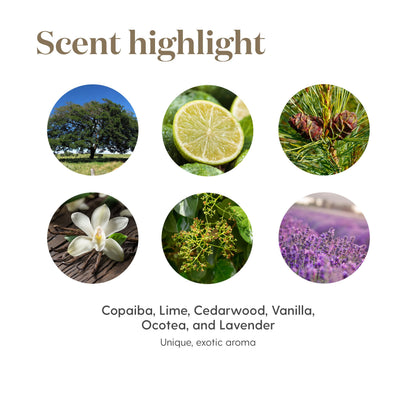 Stress Away Essential Oil Blend 15 ml – Young Living | Pure & Calming Aroma