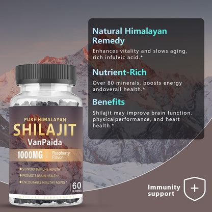 Sugar Free Shilajit Gummies - Energy, Brain & Immune Support | 85 Minerals & Ashwagandha | Raspberry