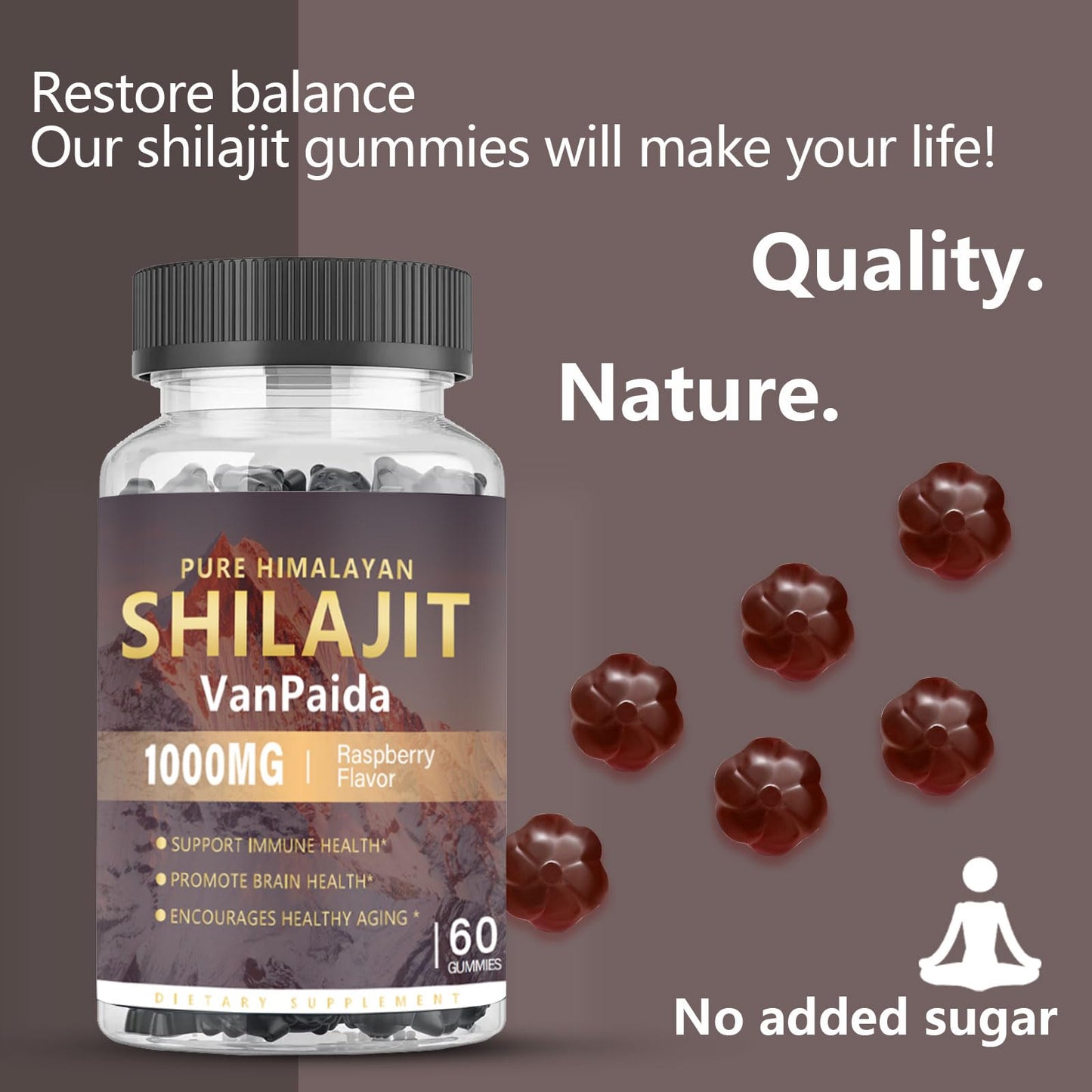 Sugar Free Shilajit Gummies - Energy, Brain & Immune Support | 85 Minerals & Ashwagandha | Raspberry