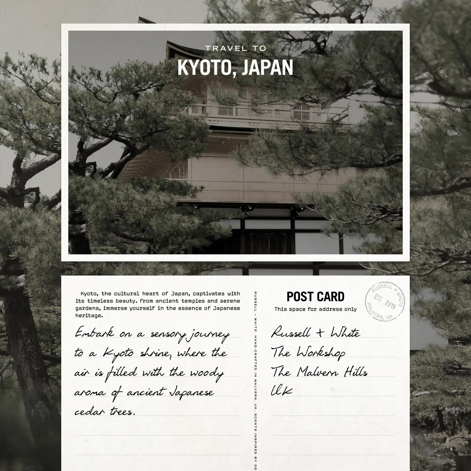 Sugi Reed Diffuser - HealVia LimitedHealVia LimitedSugi Reed Diffuser