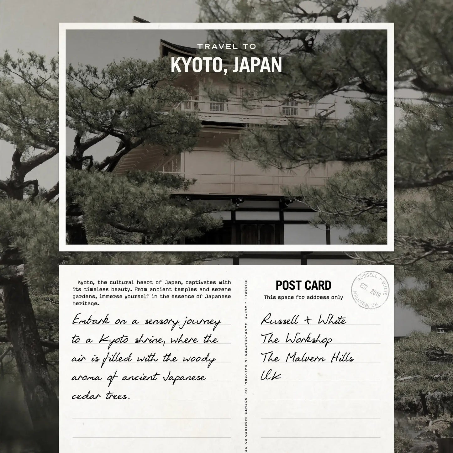 Sugi Scented Candle - HealVia LimitedHealVia LimitedSugi Scented Candle