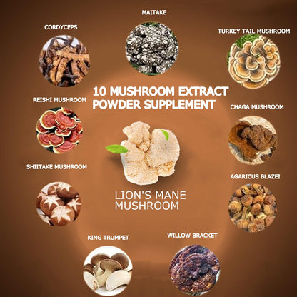 Suiyilary Mushroom Coffee – 10-Mushroom Blend (Lion's Mane, Reishi, Cordyceps) for Energy, Focus & Immunity 150g