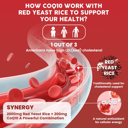 Red Yeast Rice 2000mg + CoQ10 Gummies – Max Strength Cholesterol Support (60 Count) | Vegan, Non-GMO, Gluten-Free