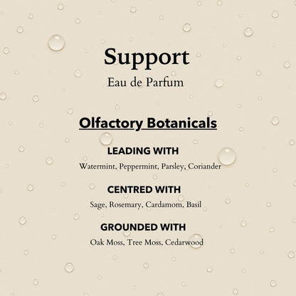 Support Functional Parfum  10ml