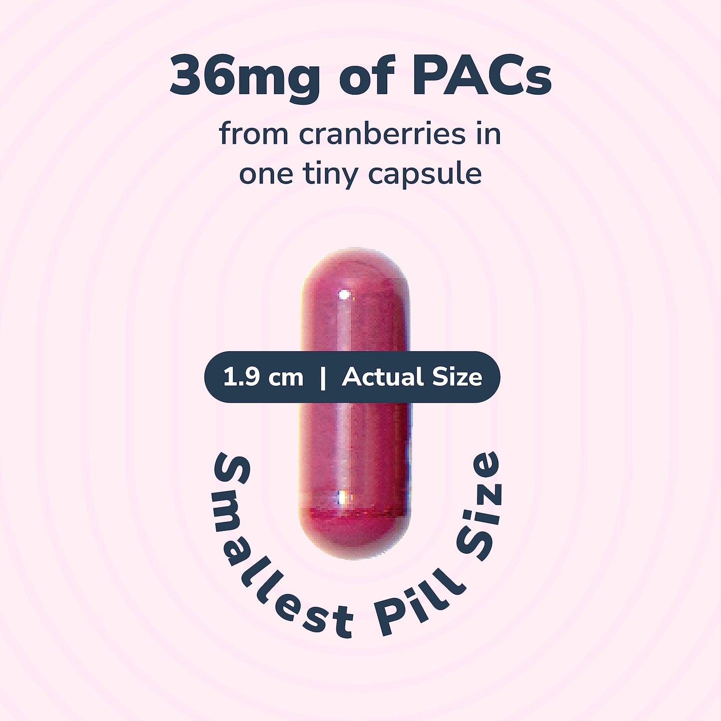Szio+ Utiva Cranberry PACs – 36 mg PACs Clinically Studied for UTI Prevention | Cranberry Extract Pills for Bladder Health, 90 Veggie Capsules