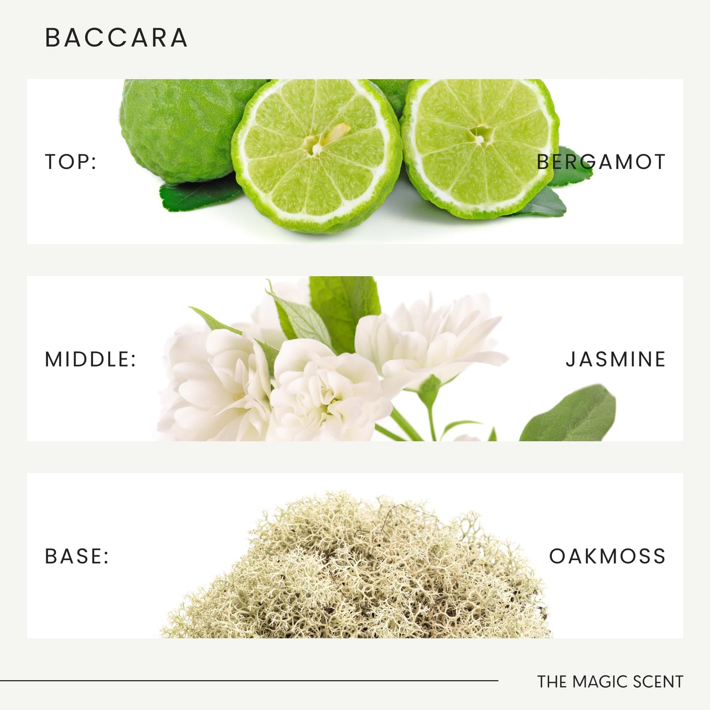 THE MAGIC SCENT Baccara Diffuser Oil – Hotel & Home Luxury Scents, 500 mL
