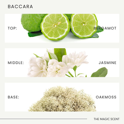 THE MAGIC SCENT Baccara Diffuser Oil – Hotel & Home Luxury Scents, 500 mL