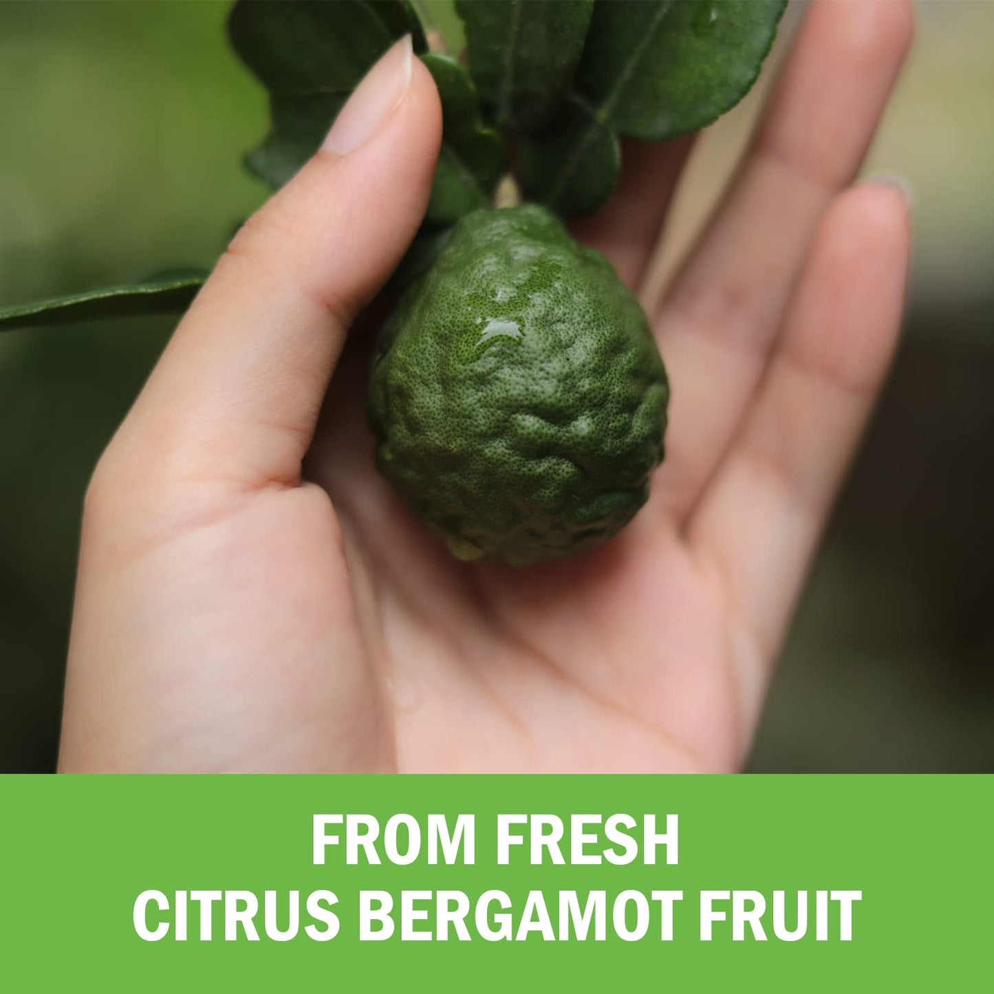 Citrus Bergamot 1000mg – Heart Health & Cholesterol Support | Vegan, Non-GMO, Gluten-Free