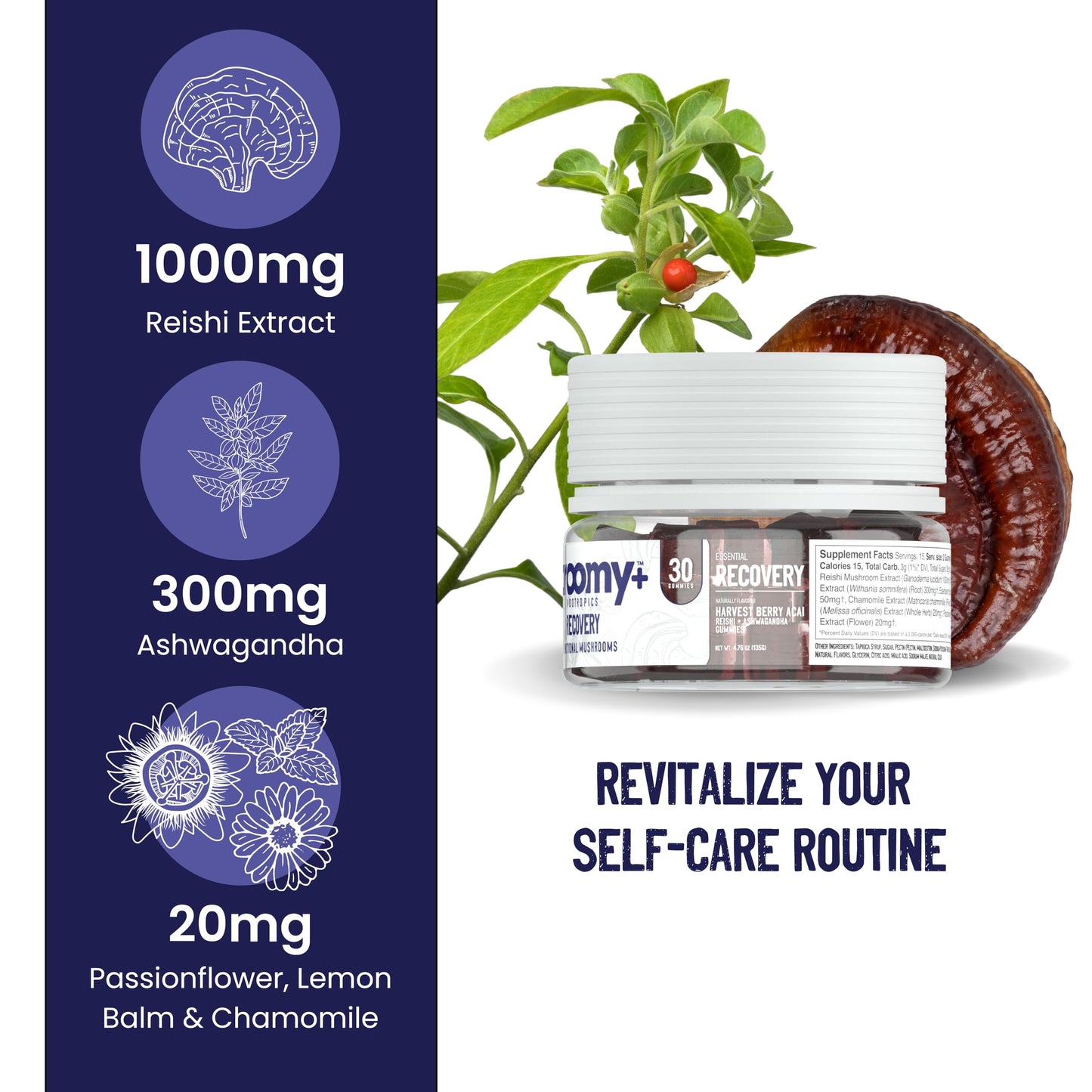 Troomy Recovery Gummies – Ashwagandha & Reishi for Peak Performance