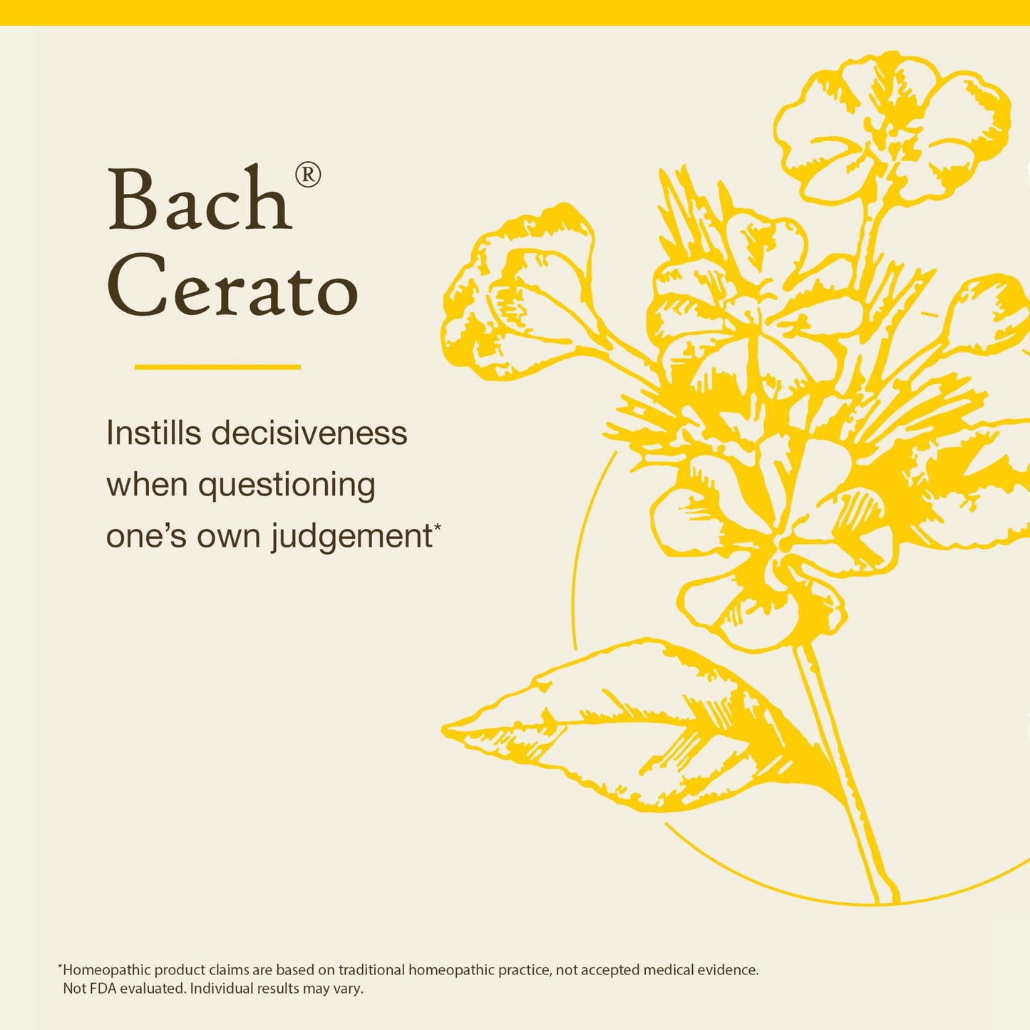 Bach Cerato Original Flower Remedies – Trust Intuition | Emotional Balance | 20mL Dropper