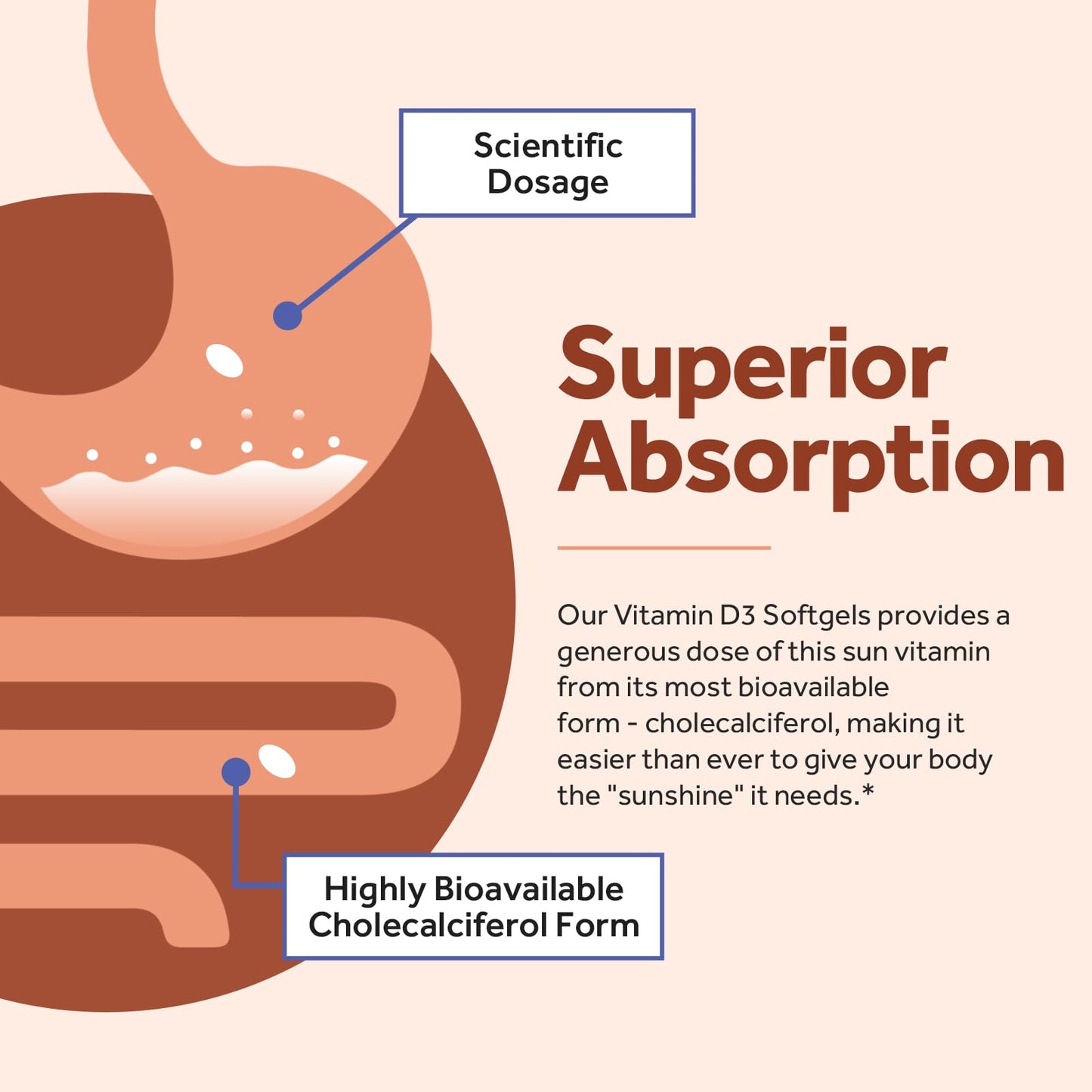 Doctor's Recipes Vitamin D3 2000 IU – 120 Softgels, Non-GMO