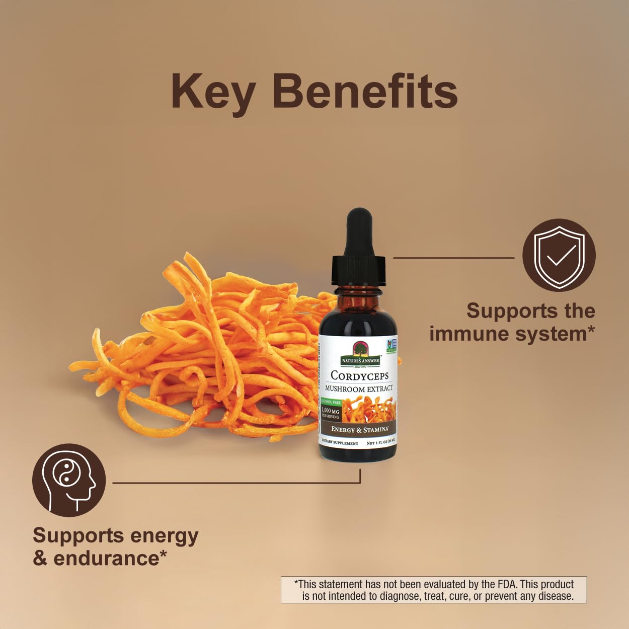 Cordyceps Mushroom Extract – Alcohol Free, 1 fl oz (30 ml) | 1,000 mg per Serving