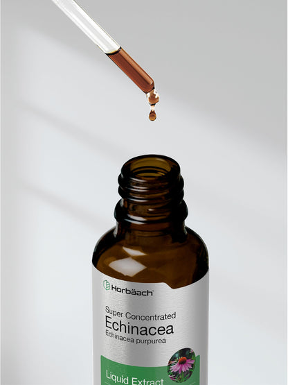 Horbaach Echinacea Drops Tincture - 2 fl oz | Alcohol-Free, Vegetarian, Non-GMO & Gluten Free