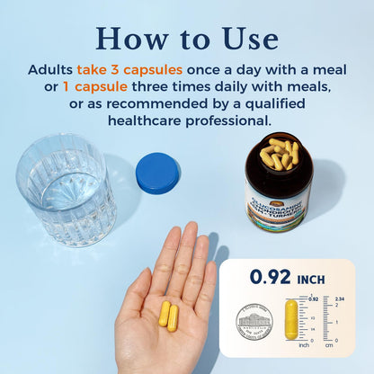 Vitalitown 11-in-1 Glucosamine Chondroitin MSM Turmeric Collagen – 240 Caps (Shellfish-Free)