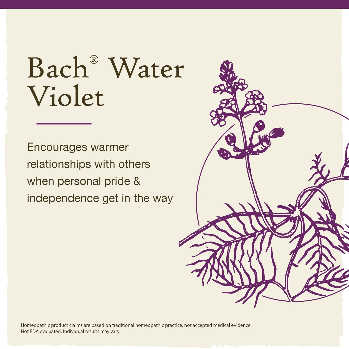 Water Violet Bach Original Flower Remedies - Connect with Others - 20mL Dropper - Vegan, Gluten Free