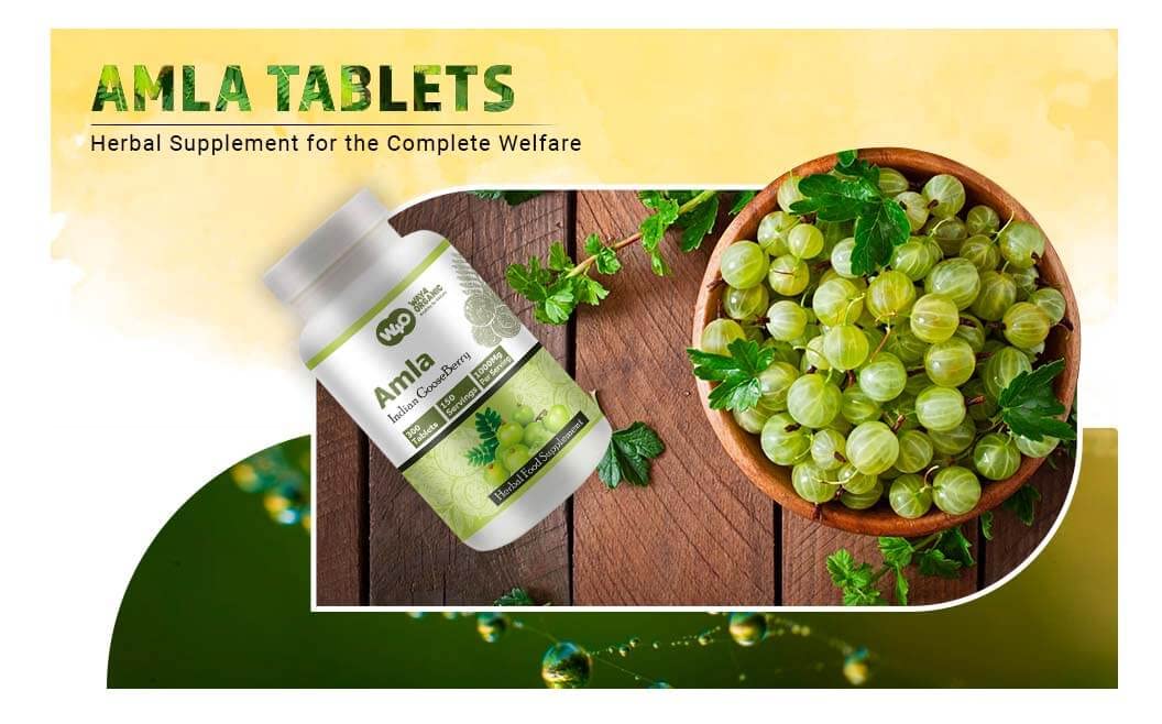 WAY 4 ORGANIC W4O Amla Fruit Extract Capsules (Tablets) - 300 Pills, 150 Servings, 1000 mg, Amalaki Fruit (Pack of 2)