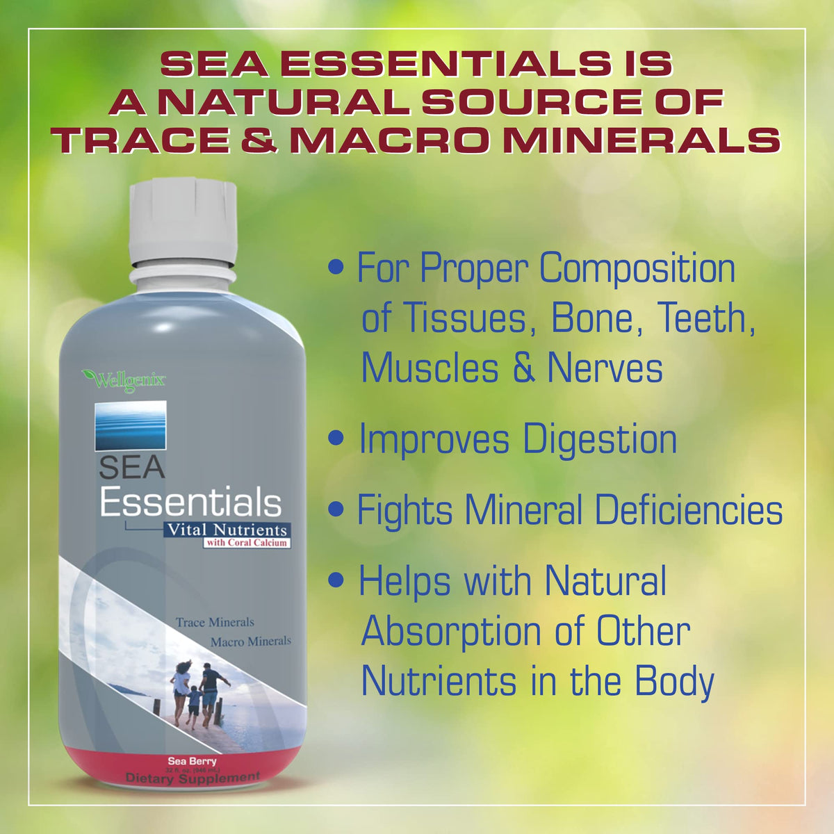 Wellgenix Sea Essentials Liquid Mineral Supplement – Sea Berry Flavor, Coral Calcium & Sea Vegetables (32 fl oz x 6)