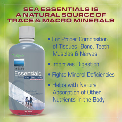 Wellgenix Sea Essentials Liquid Mineral Supplement – Sea Berry Flavor, Coral Calcium & Sea Vegetables (32 fl oz x 6)